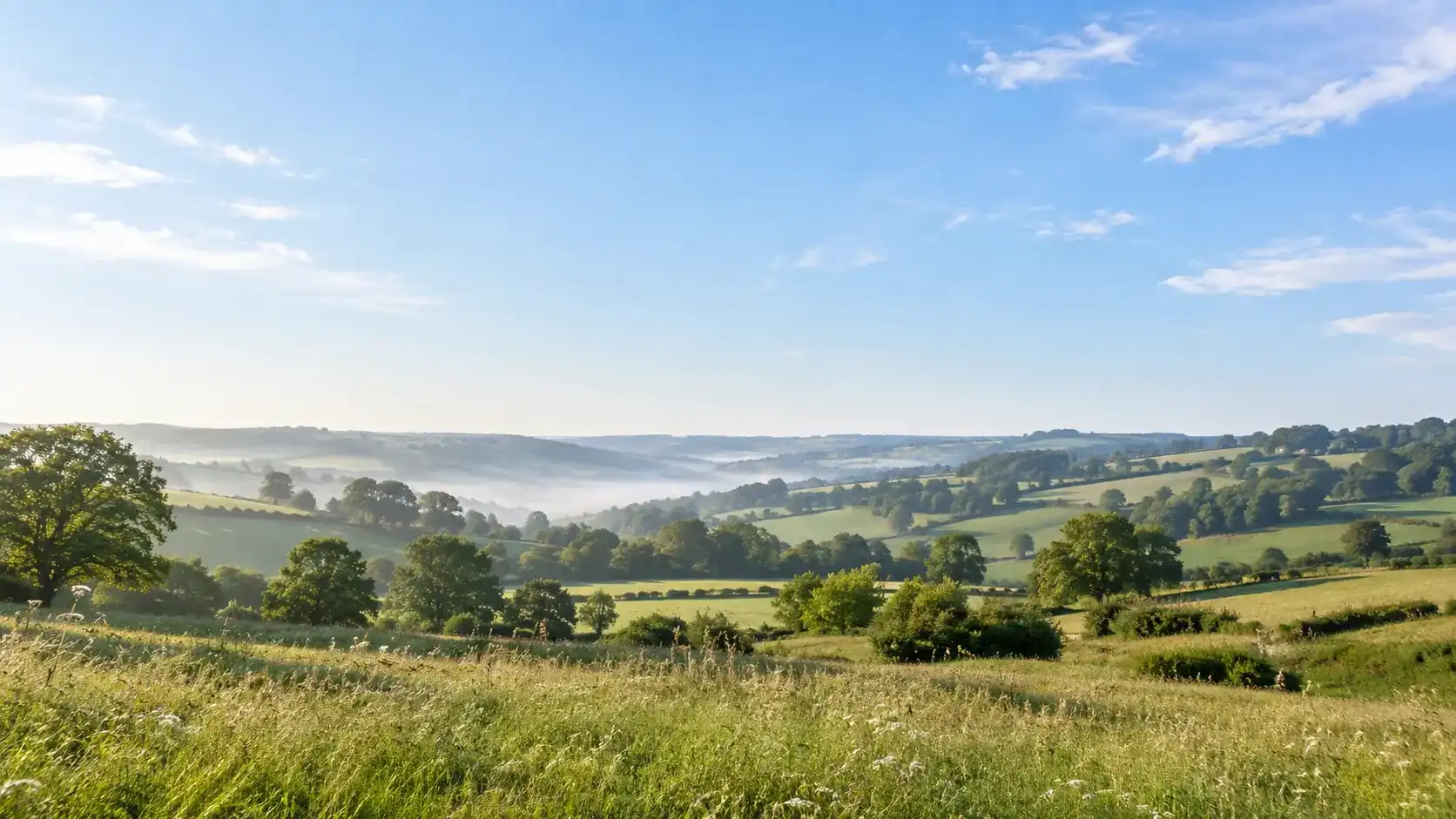 Campagne française vallonnée au petit matin, haies et prairies sous un ciel clair